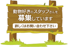 �����D���̃X�^�b�t������W���Ă��܂��@�ڂ����͂��₢���킹������